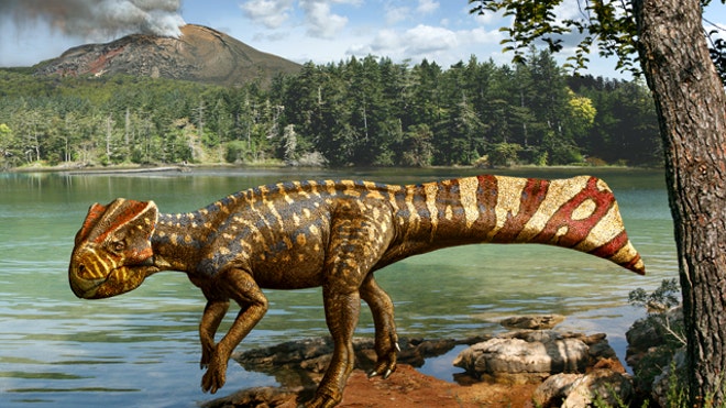 Koreaceratops