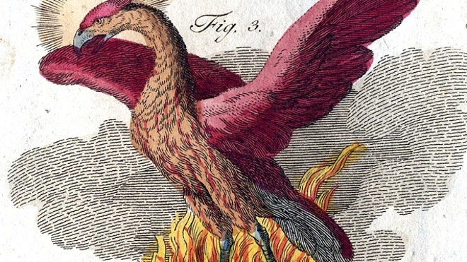 The Mythical Phoenix