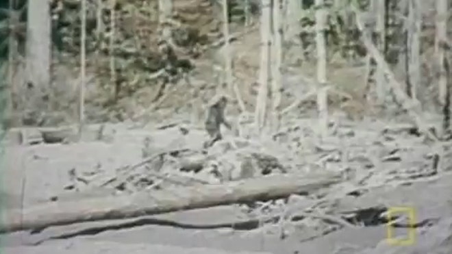 best bigfoot pictures