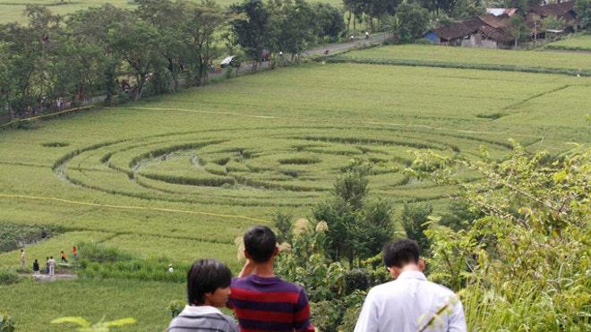Crop Circle