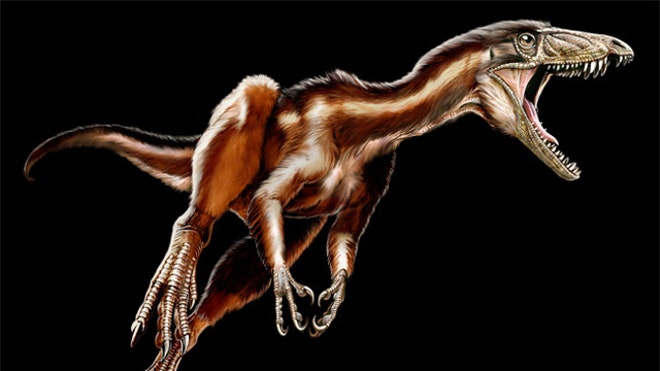 New Dinosaur Tawa Hallae