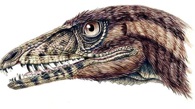 New Dinosaur Tawa Hallae