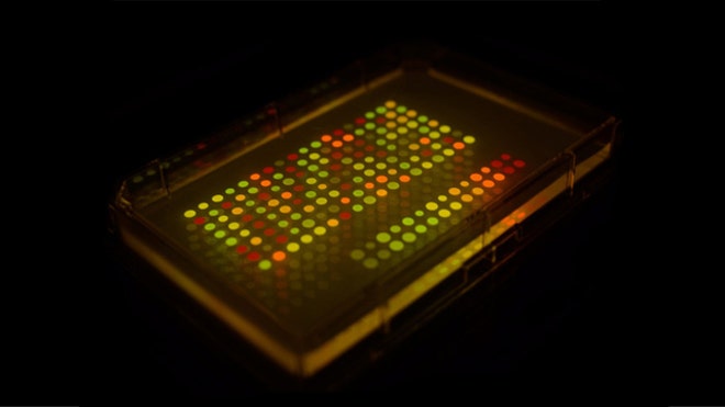 Microbial Messaging