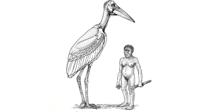 Giant Stork Hobbits