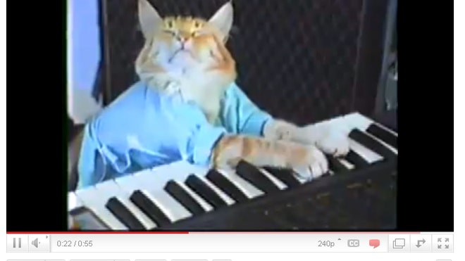 Keyboard Cat