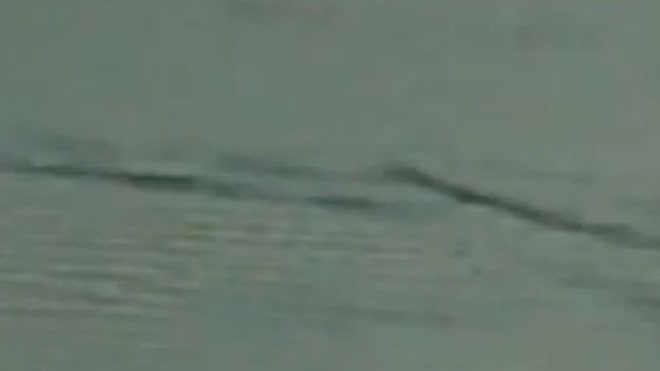 Canadian Nessie