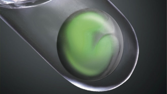 Lab-Grown Retina