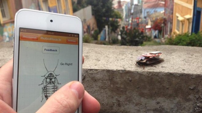 roboroachwithsmartphone-650x0.jpg