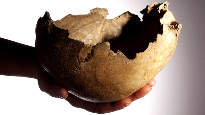 Cannibal skull cup