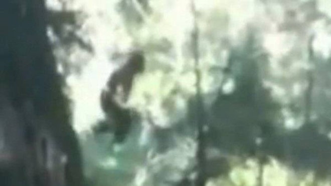 Spokane Bigfoot