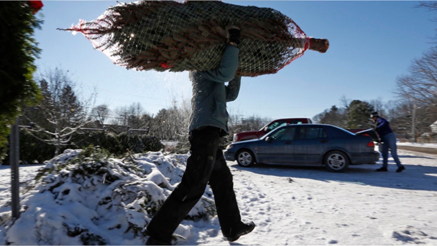 Christmas-TREE-carry.jpg