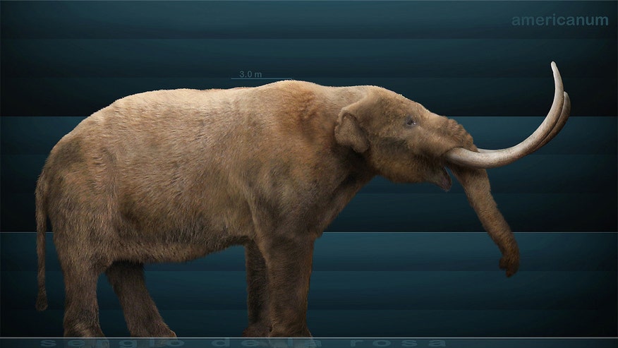 American Mastodon