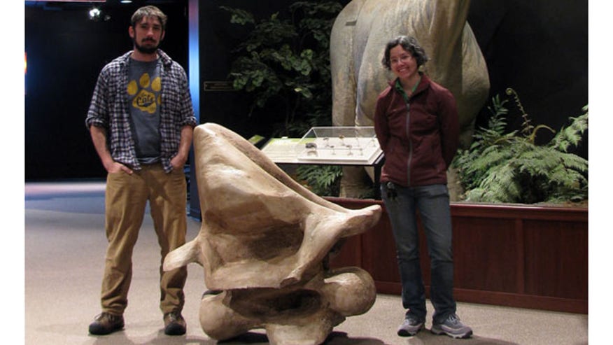 biggestdinosaur