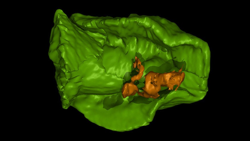 Ancient Blob