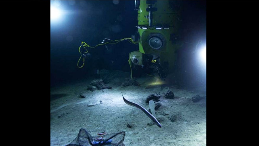 deepsea-challenger-ulithi-e.jpg