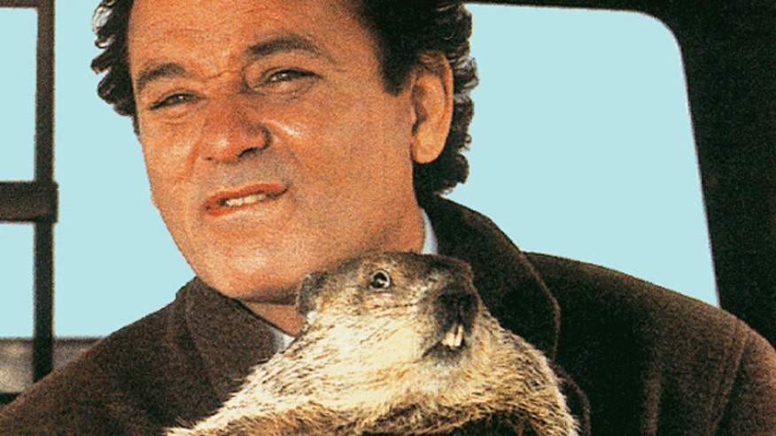 Bill Murray in Groundhog Day