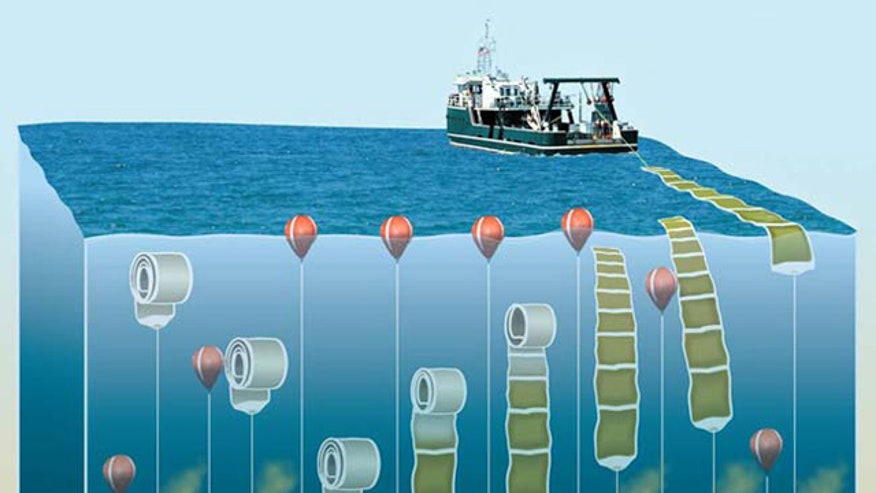 Harvesting algae