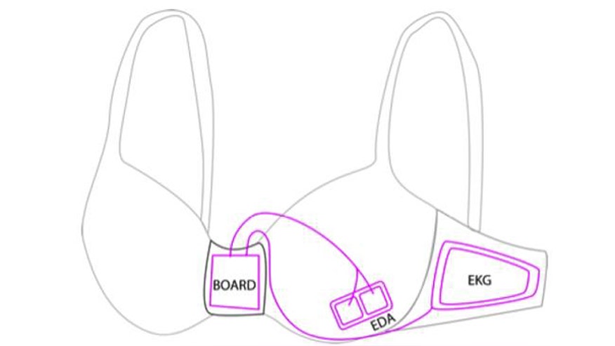 prototype-bra-microsoft.jpg
