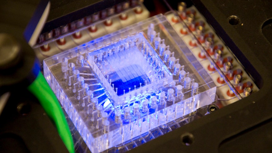 SETG instrument to compare DNA against Martian life