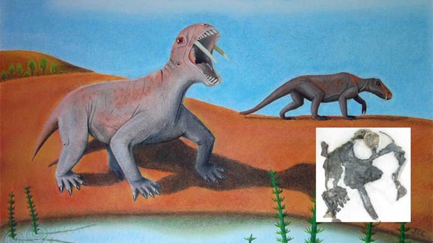 The toothy reptile Tiarajudens eccentricus