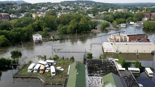 IreneNJ.jpg