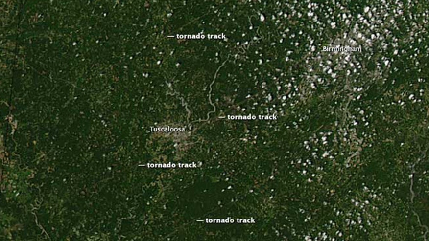 tuscaloosa.jpg