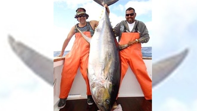 468_BigFish.jpg
