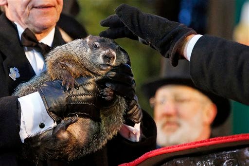 Stylish Groundhog Handler Me Stace pa groundhog punxsutawney phil forecasts 6 more weeks Stylish Groundhog Handler Me Stace pa groundhog punxsutawney phil forecasts 6 more weeks