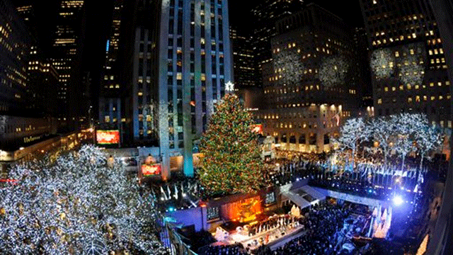 rockefellertree