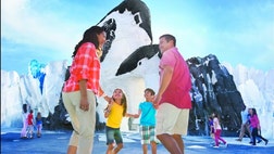 On May , visitors to SeaWorld Orlando will be able to live among the penguins at the highly anticipated attraction -- Antarctica: Empire of the Penguin attraction.