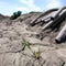 California cities show biggest water use reduction yet in drought