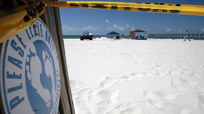 Pensacola beach closed from oil
