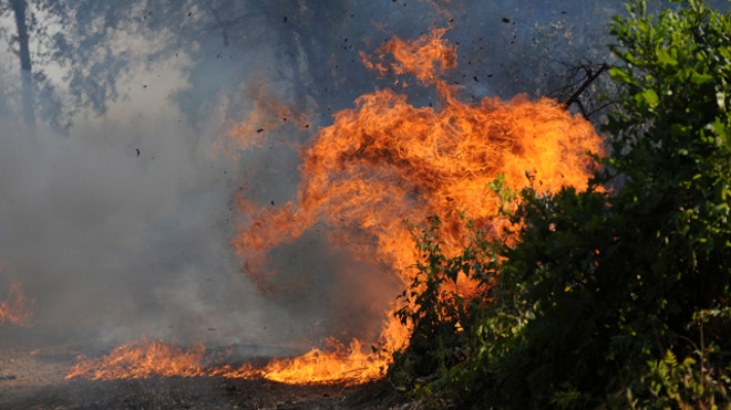 Texas Wildfires