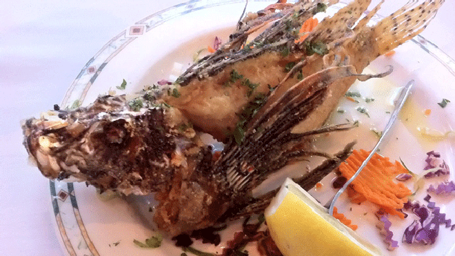 LionfishFishHouseEncore
