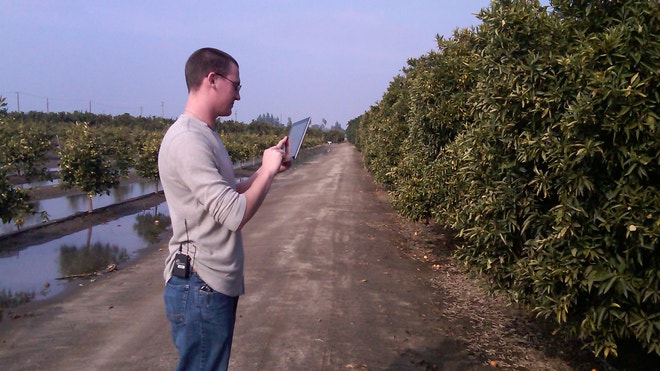 afghan_agriculture