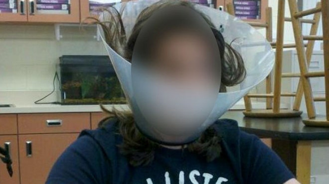 dogcone.jpg