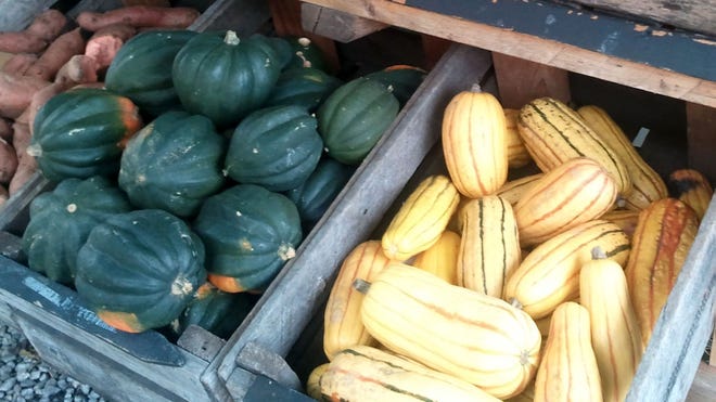 farm_vegetables2.jpg
