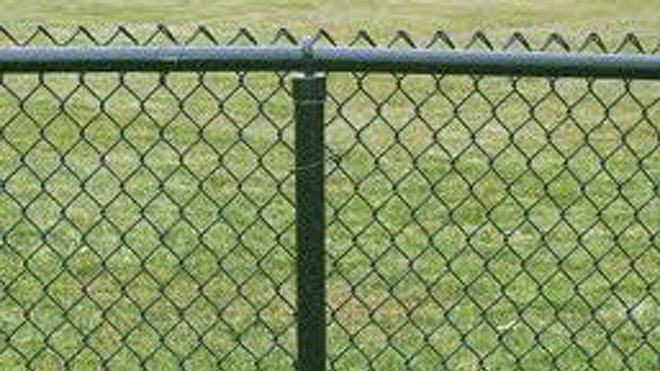 fence.jpeg
