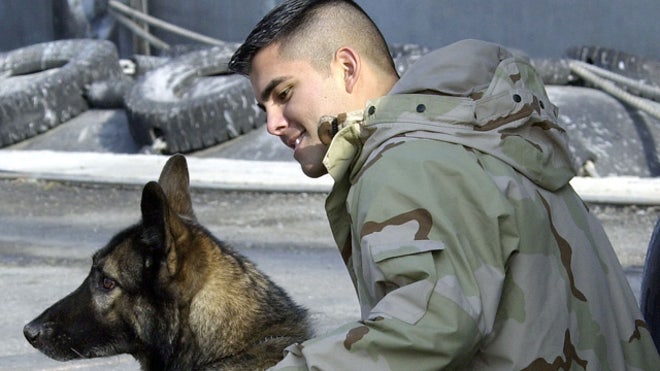 Gays Hoping to Re-enlist in Military