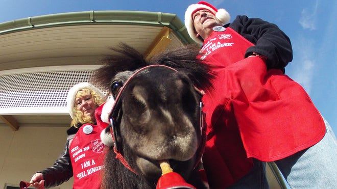 horsesalvationarmy.jpg