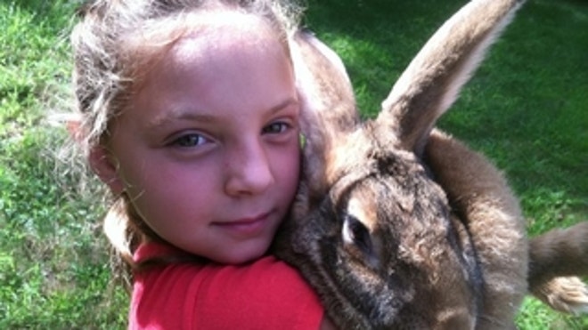 lidsky_rabbit.jpg