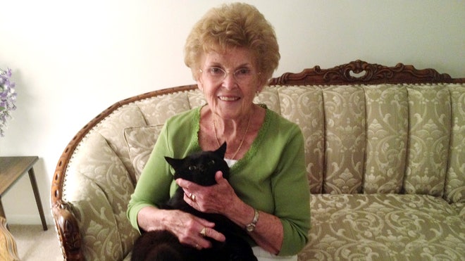 new_hampshire_cat.jpg