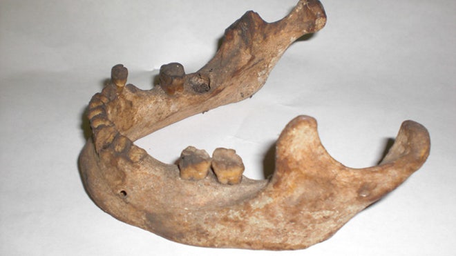 oldbones2.JPG