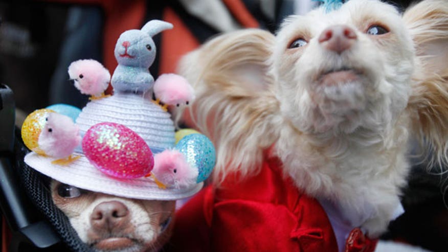 Easter Parade