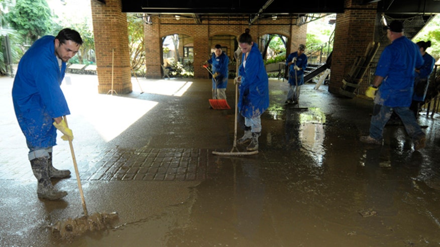 Flood Cleanup