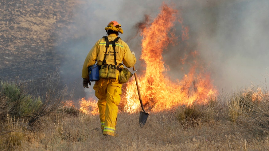 6213_wildfire1.jpg