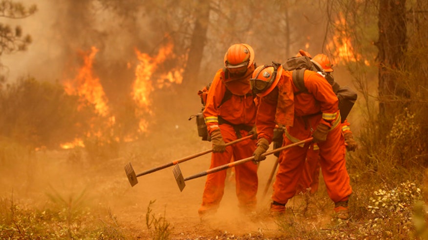 California Firefighti_Gupt-1.jpg