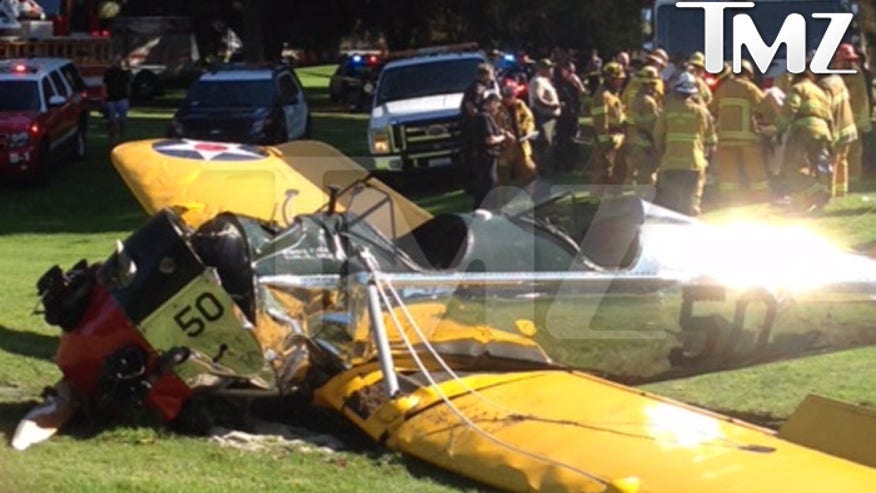 HARRISON_FORD_CRASH_wm_bug.jpg
