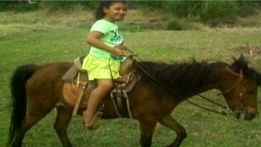 MinatureHorse.jpg