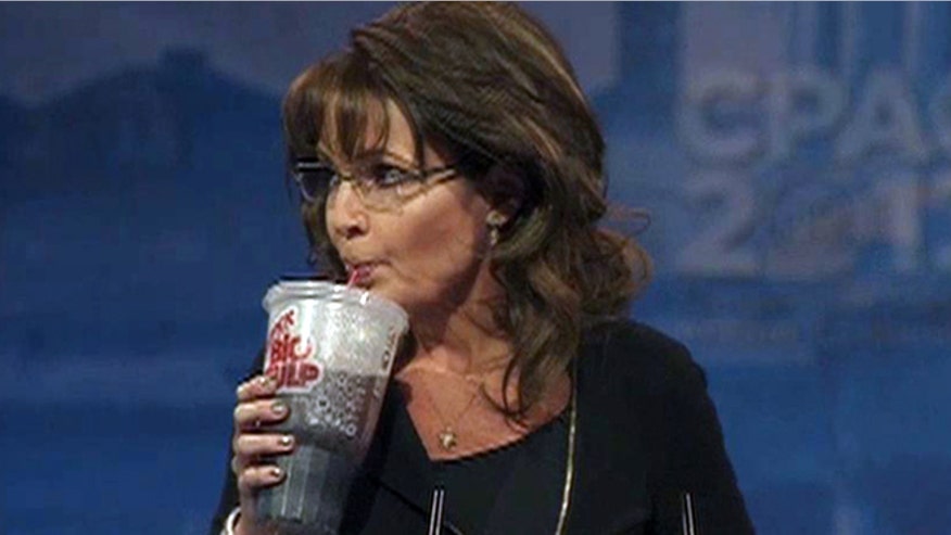 Palin1.jpg